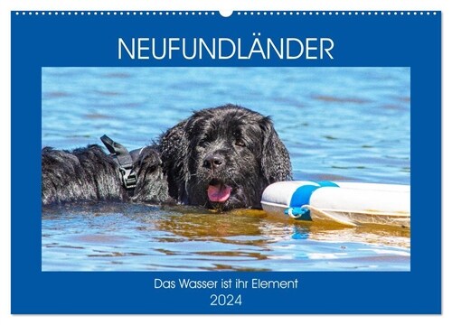 Neufundlander - Das Wasser ist ihr Element (Wandkalender 2024 DIN A2 quer), CALVENDO Monatskalender (Calendar)