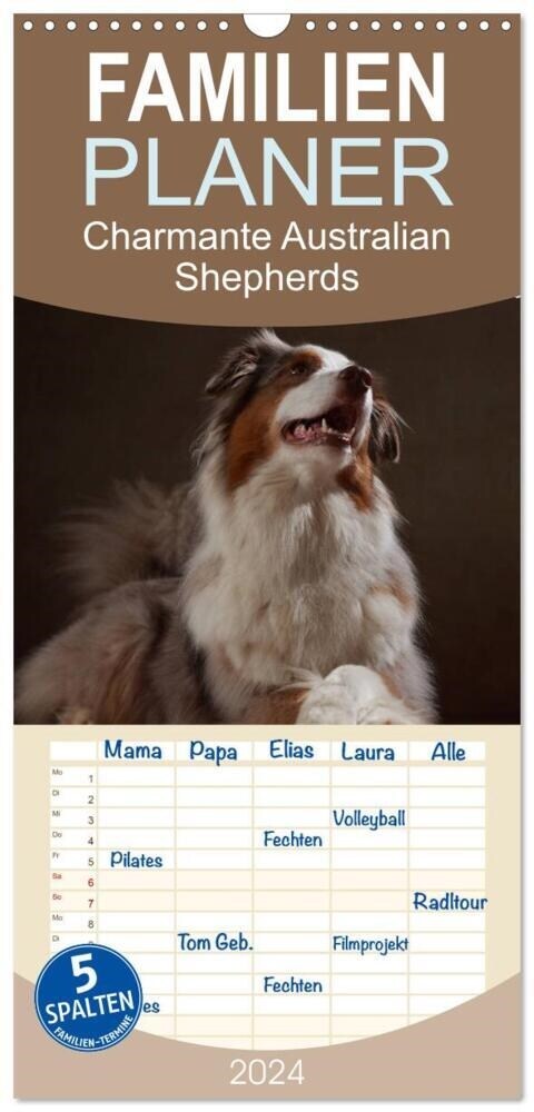 Familienplaner 2024 - Charmante Australian Shepherds mit 5 Spalten (Wandkalender, 21 x 45 cm) CALVENDO (Calendar)