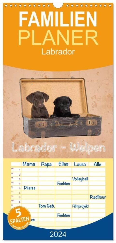 Familienplaner 2024 - Labrador - Welpen mit 5 Spalten (Wandkalender, 21 x 45 cm) CALVENDO (Calendar)