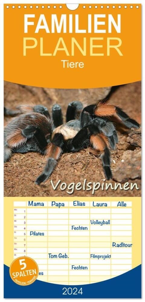 Familienplaner 2024 - Vogelspinnen mit 5 Spalten (Wandkalender, 21 x 45 cm) CALVENDO (Calendar)