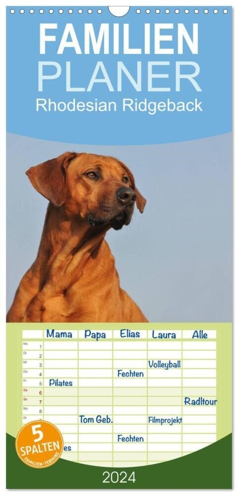 Familienplaner 2024 - Rhodesian Ridgeback 2024 mit 5 Spalten (Wandkalender, 21 x 45 cm) CALVENDO (Calendar)