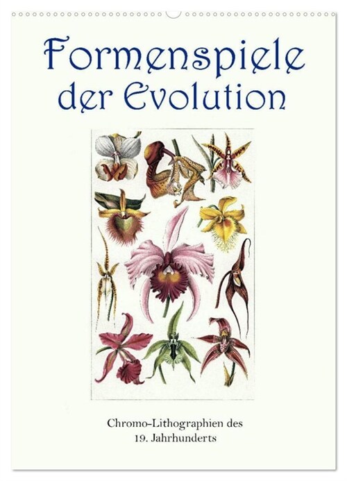 Formenspiele der Evolution. Chromolithographien des 19. Jahrhunderts (Wandkalender 2024 DIN A2 hoch), CALVENDO Monatskalender (Calendar)