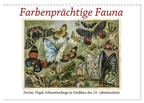 Farbenprachtige Fauna. Fische, Vogel, Schmetterlinge in Grafiken des 19 Jahrhunderts (Wandkalender 2024 DIN A3 quer), CALVENDO Monatskalender (Calendar)