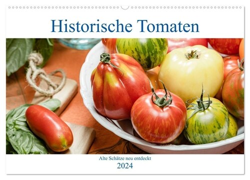 Historische Tomaten - Alte Schatze neu entdeckt (Wandkalender 2024 DIN A2 quer), CALVENDO Monatskalender (Calendar)