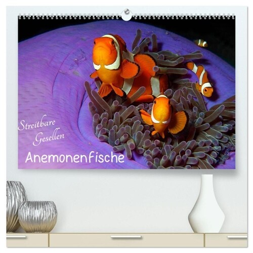 Anemonenfische - Streitbare Gesellen (hochwertiger Premium Wandkalender 2024 DIN A2 quer), Kunstdruck in Hochglanz (Calendar)