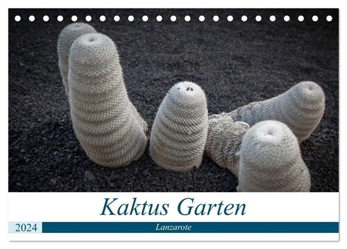 Kaktus Garten Lanzarote (Tischkalender 2024 DIN A5 quer), CALVENDO Monatskalender (Calendar)