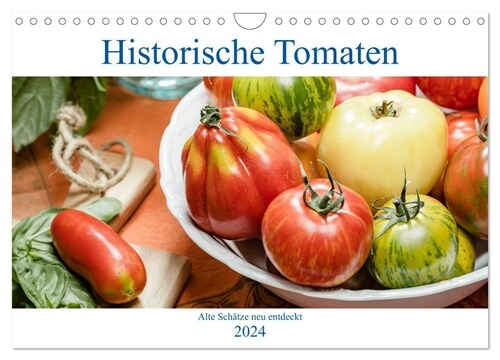 Historische Tomaten - Alte Schatze neu entdeckt (Wandkalender 2024 DIN A4 quer), CALVENDO Monatskalender (Calendar)