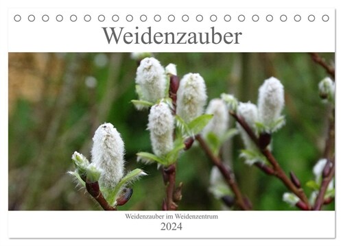 Weidenzauber (Tischkalender 2024 DIN A5 quer), CALVENDO Monatskalender (Calendar)