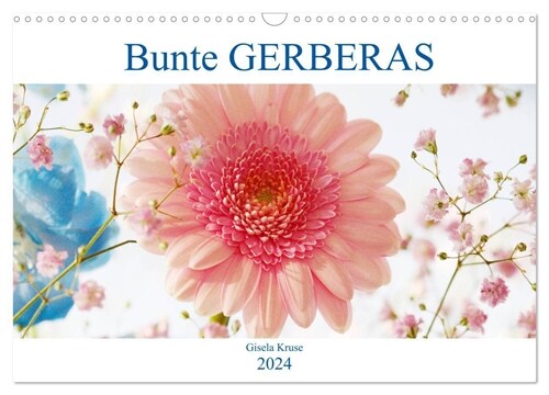 Bunte Gerberas (Wandkalender 2024 DIN A3 quer), CALVENDO Monatskalender (Calendar)