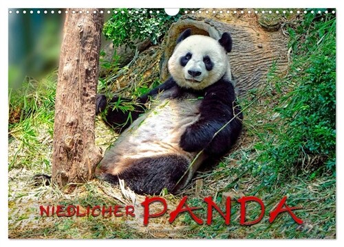 Niedlicher Panda (Wandkalender 2024 DIN A3 quer), CALVENDO Monatskalender (Calendar)