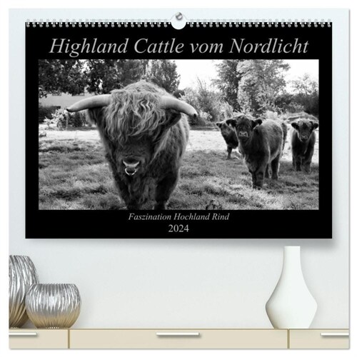Highland Cattle vom Nordlicht - Faszination Hochland Rind (hochwertiger Premium Wandkalender 2024 DIN A2 quer), Kunstdruck in Hochglanz (Calendar)