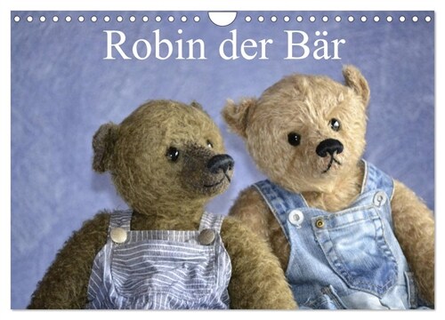 Robin der Bar (Wandkalender 2024 DIN A4 quer), CALVENDO Monatskalender (Calendar)