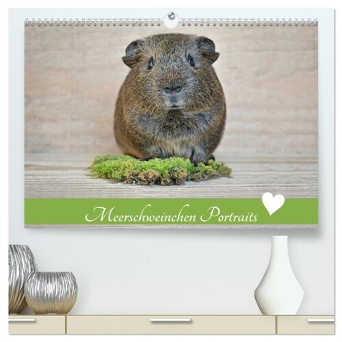 Meerschweinchen Portraits (hochwertiger Premium Wandkalender 2024 DIN A2 quer), Kunstdruck in Hochglanz (Calendar)