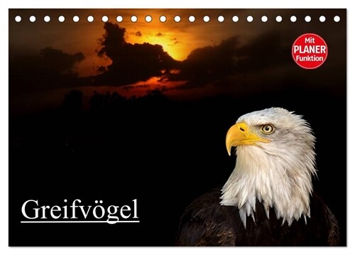 Greifvogel (Tischkalender 2024 DIN A5 quer), CALVENDO Monatskalender (Calendar)