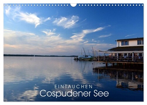 EINTAUCHEN - Cospudener See (Wandkalender 2024 DIN A3 quer), CALVENDO Monatskalender (Calendar)