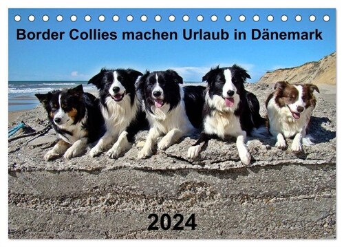 Border Collies machen Urlaub in Danemark (Tischkalender 2024 DIN A5 quer), CALVENDO Monatskalender (Calendar)