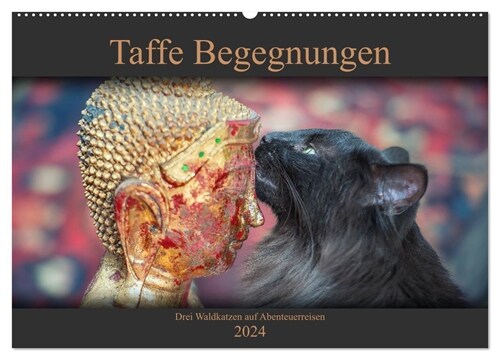 Taffe Begegnungen-Drei Waldkatzen auf Abenteuerreisen (Wandkalender 2024 DIN A2 quer), CALVENDO Monatskalender (Calendar)