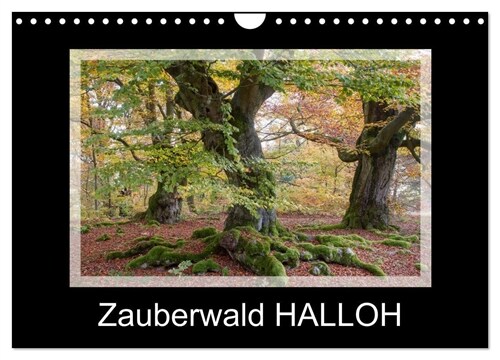 Zauberwald HALLOH (Wandkalender 2024 DIN A4 quer), CALVENDO Monatskalender (Calendar)