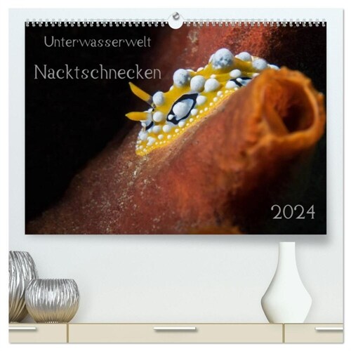 Unterwasserwelt Nacktschnecken (hochwertiger Premium Wandkalender 2024 DIN A2 quer), Kunstdruck in Hochglanz (Calendar)