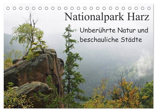 Nationalpark Harz Unberuhrte Natur und beschauliche Stadte (Tischkalender 2024 DIN A5 quer), CALVENDO Monatskalender (Calendar)