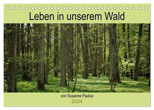 Leben in unserem Wald (Tischkalender 2024 DIN A5 quer), CALVENDO Monatskalender (Calendar)