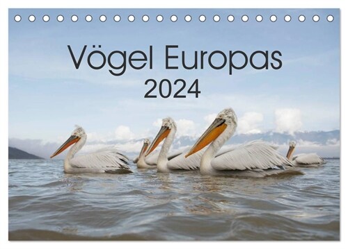 Vogel Europas 2024 (Tischkalender 2024 DIN A5 quer), CALVENDO Monatskalender (Calendar)