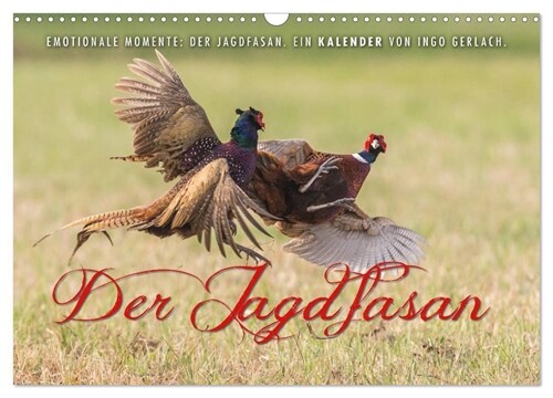 Emotionale Momente: Der Jagdfasan. (Wandkalender 2024 DIN A3 quer), CALVENDO Monatskalender (Calendar)