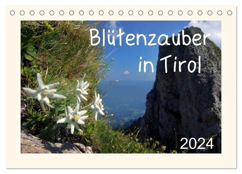 Blutenzauber in Tirol (Tischkalender 2024 DIN A5 quer), CALVENDO Monatskalender (Calendar)