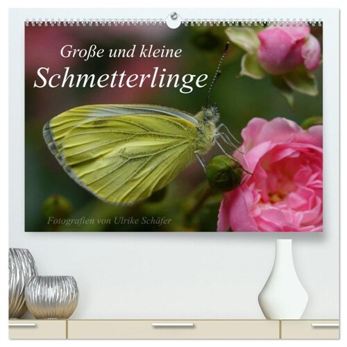Große und kleine Schmetterlinge (hochwertiger Premium Wandkalender 2024 DIN A2 quer), Kunstdruck in Hochglanz (Calendar)