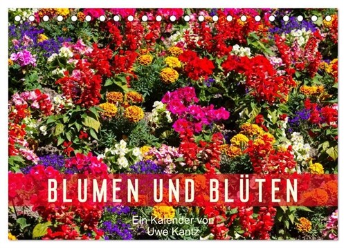 Blumen und Bluten (Tischkalender 2024 DIN A5 quer), CALVENDO Monatskalender (Calendar)