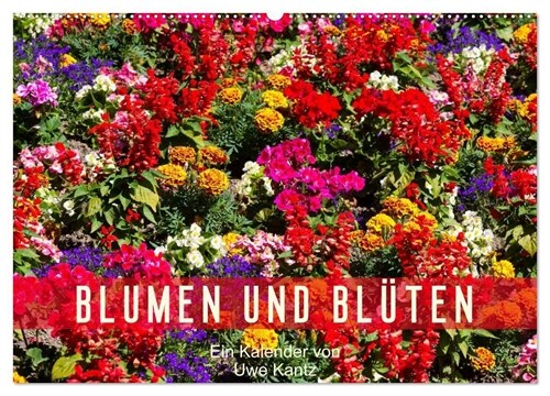 Blumen und Bluten (Wandkalender 2024 DIN A2 quer), CALVENDO Monatskalender (Calendar)