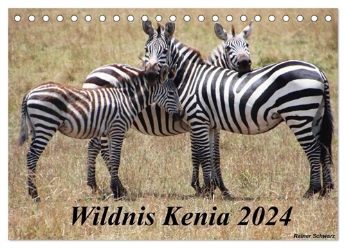 Wildnis Kenia 2024 (Tischkalender 2024 DIN A5 quer), CALVENDO Monatskalender (Calendar)