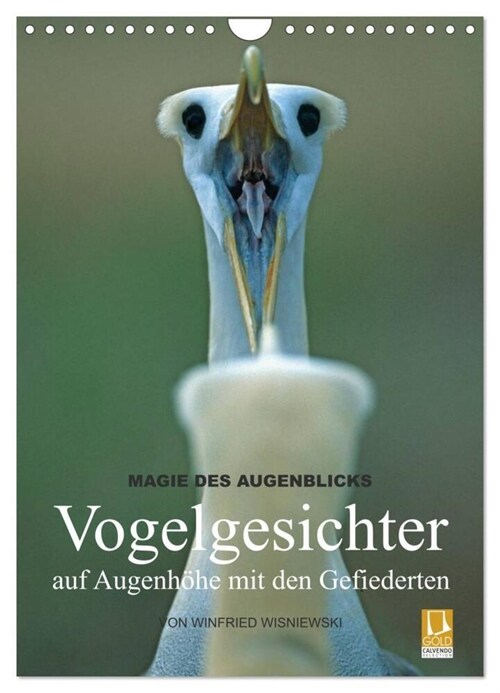 Magie des Augenblicks - Vogelgesichter - auf Augenhohe mit den Gefiederten (Wandkalender 2024 DIN A4 hoch), CALVENDO Monatskalender (Calendar)