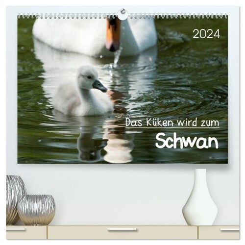 Das Kuken wird zum Schwan (hochwertiger Premium Wandkalender 2024 DIN A2 quer), Kunstdruck in Hochglanz (Calendar)