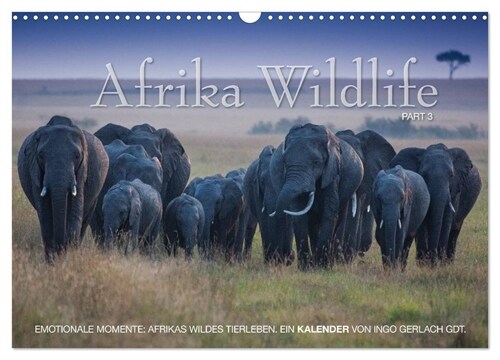 Emotionale Momente: Afrika Wildlife. Part 3. / CH-Version (Wandkalender 2024 DIN A3 quer), CALVENDO Monatskalender (Calendar)