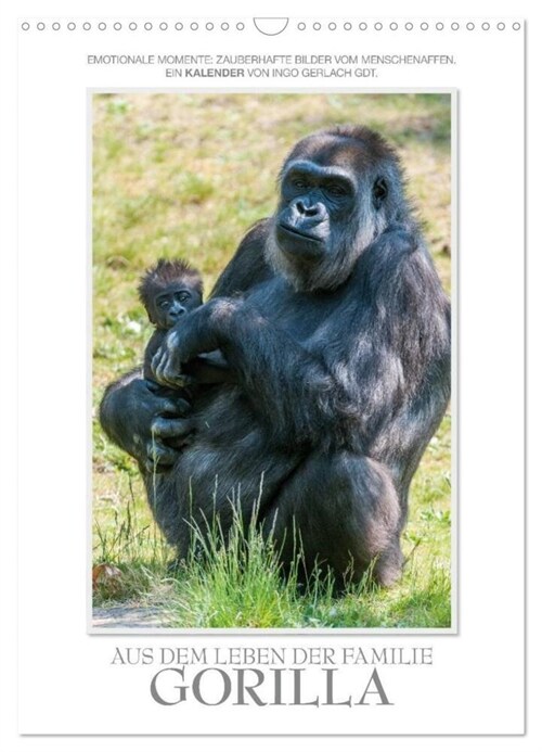 Emotionale Momente: Aus dem Leben der Familie Gorilla. / CH-Version (Wandkalender 2024 DIN A3 hoch), CALVENDO Monatskalender (Calendar)