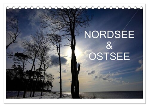 Nordsee & Ostsee (Tischkalender 2024 DIN A5 quer), CALVENDO Monatskalender (Calendar)