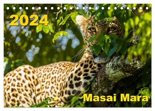 Masai Mara 2024 (Tischkalender 2024 DIN A5 quer), CALVENDO Monatskalender (Calendar)