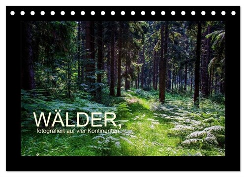 Walder, fotografiert auf vier Kontinenten (Tischkalender 2024 DIN A5 quer), CALVENDO Monatskalender (Calendar)