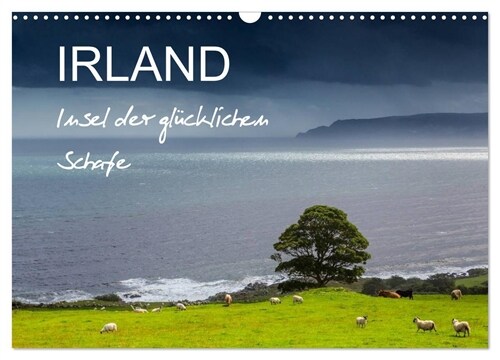 IRLAND - Insel der glucklichen Schafe (Wandkalender 2024 DIN A3 quer), CALVENDO Monatskalender (Calendar)