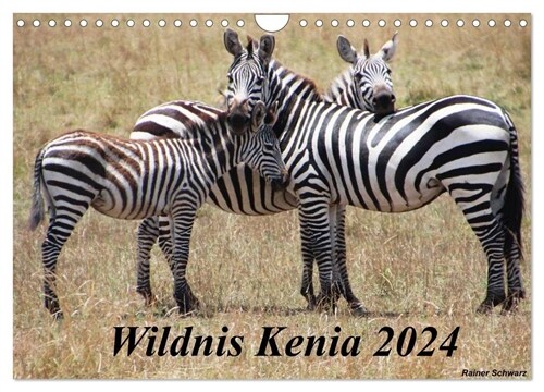 Wildnis Kenia 2024 (Wandkalender 2024 DIN A4 quer), CALVENDO Monatskalender (Calendar)