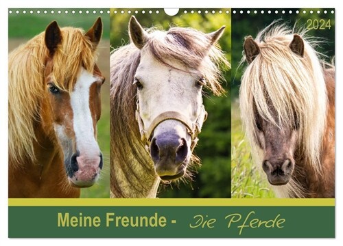 Meine Freunde - die Pferde (Wandkalender 2024 DIN A3 quer), CALVENDO Monatskalender (Calendar)