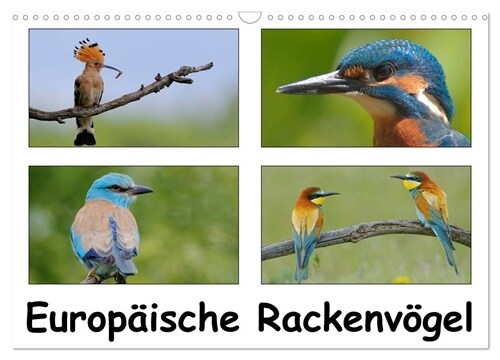 Europaische Rackenvogel (Wandkalender 2024 DIN A3 quer), CALVENDO Monatskalender (Calendar)
