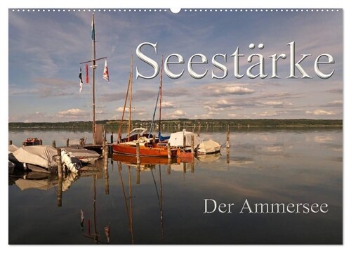 Seestarke - Der Ammersee (Wandkalender 2024 DIN A2 quer), CALVENDO Monatskalender (Calendar)