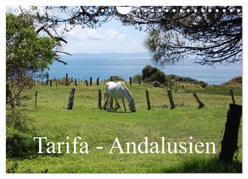 Tarifa - Andalusien (Wandkalender 2024 DIN A4 quer), CALVENDO Monatskalender (Calendar)