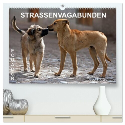 STRASSENVAGABUNDEN (hochwertiger Premium Wandkalender 2024 DIN A2 quer), Kunstdruck in Hochglanz (Calendar)