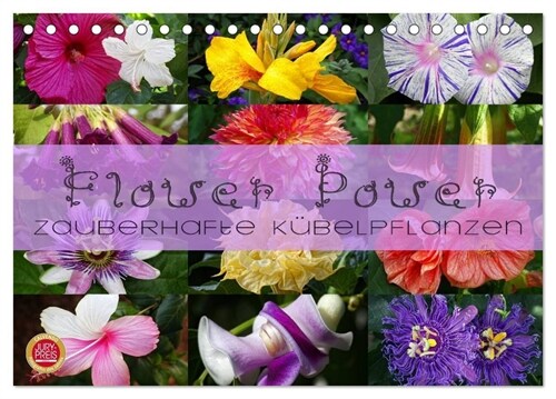 Flower Power - Zauberhafte Kubelpflanzen (Tischkalender 2024 DIN A5 quer), CALVENDO Monatskalender (Calendar)