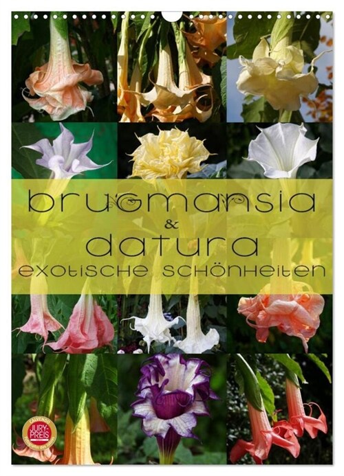 Brugmansia & Datura - Exotische Schonheiten (Wandkalender 2024 DIN A3 hoch), CALVENDO Monatskalender (Calendar)