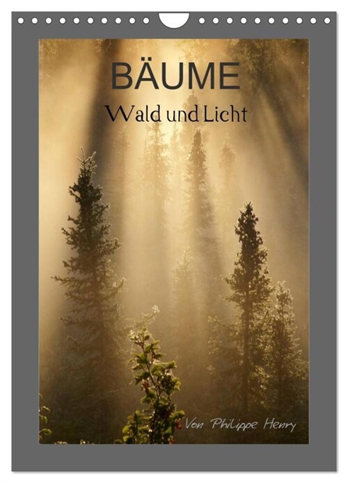 BAUME (Wandkalender 2024 DIN A4 hoch), CALVENDO Monatskalender (Calendar)