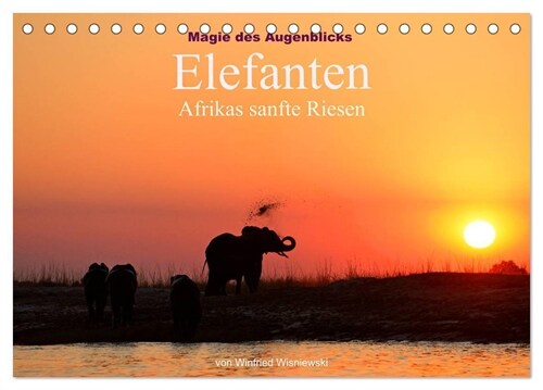 Magie des Augenblicks - Elefanten - Afrikas sanfte Riesen (Tischkalender 2024 DIN A5 quer), CALVENDO Monatskalender (Calendar)